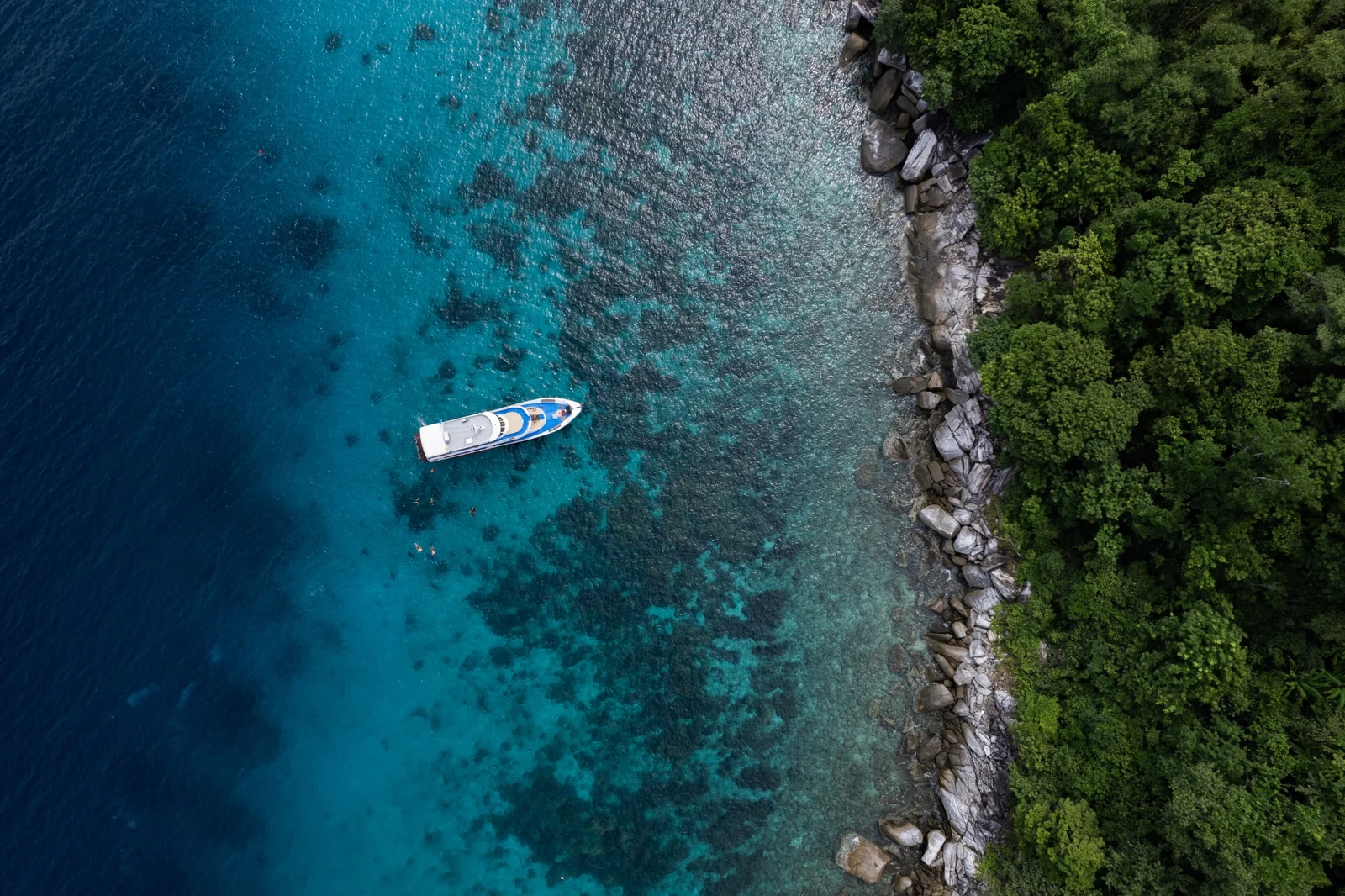 Snorkelling / Non-diver premium Phuket option